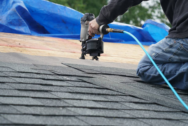 Best Roof Insulation Installation  in Kualapuu, HI